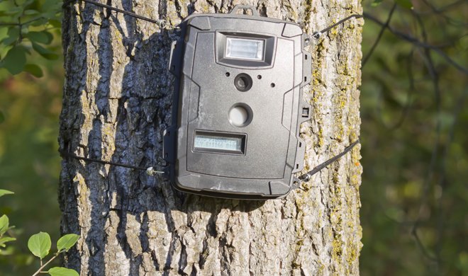 Wildkameras: Datenschutz im Wald